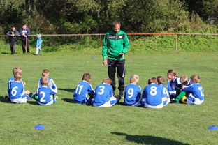 开云-中国篮球教练员战术创新能力培养及培训机制探讨，篮球教练员素养