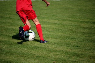 开云电竞官网入口-意甲青训体系中融入情绪调节训练的效果评估，意甲青训体系中融入情绪调节训练的效果评估